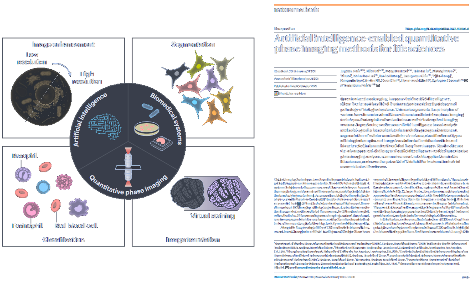 Artificial-intelligence-enabled quantitative phase imaging for biomedical systems: image enhancement, segmentation, classification, and virtual staining